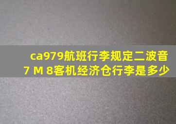 ca979航班行李规定二波音7 M 8客机经济仓行李是多少